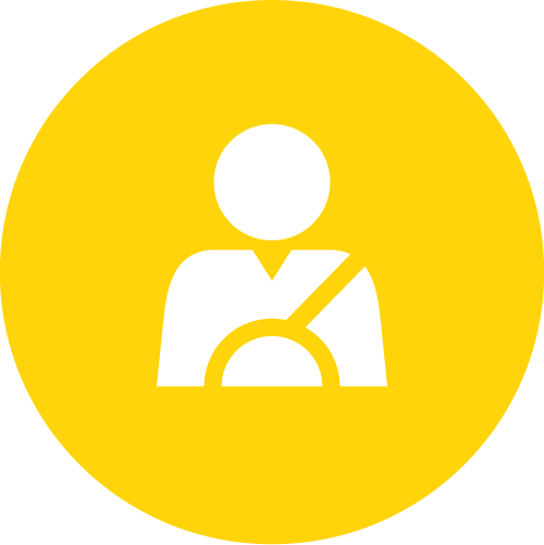 プロの観光ドライバーが案内