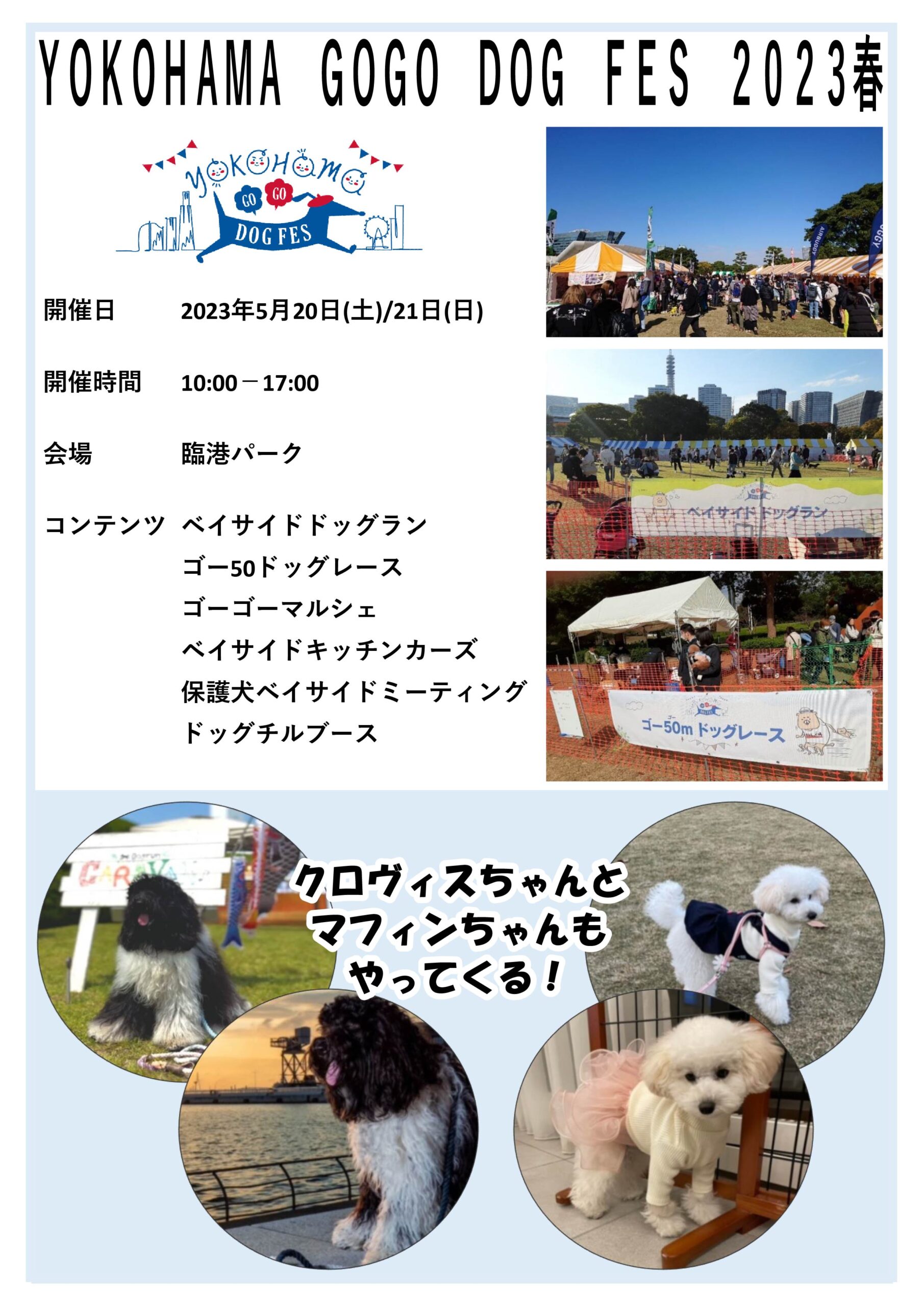 YOKOHAMAGOGODOGFES