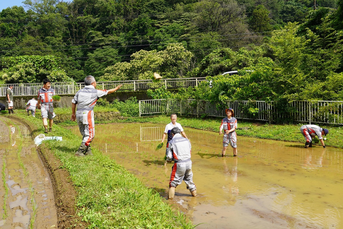 20230603_taue05