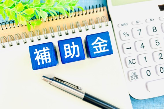 CEV補助金