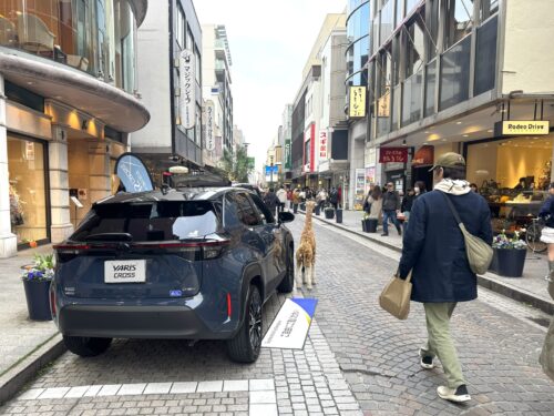 20260214_motomachi16