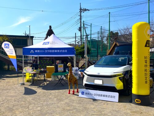 20260228_pinkshirt01