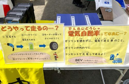 20260228_pinkshirt04