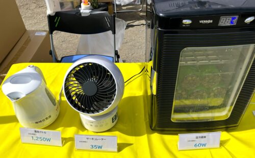 20260228_pinkshirt05