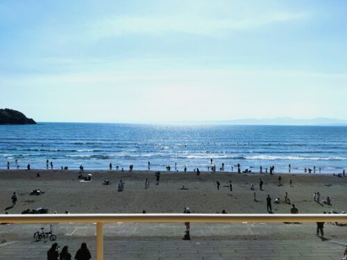 20260412_enoshima01