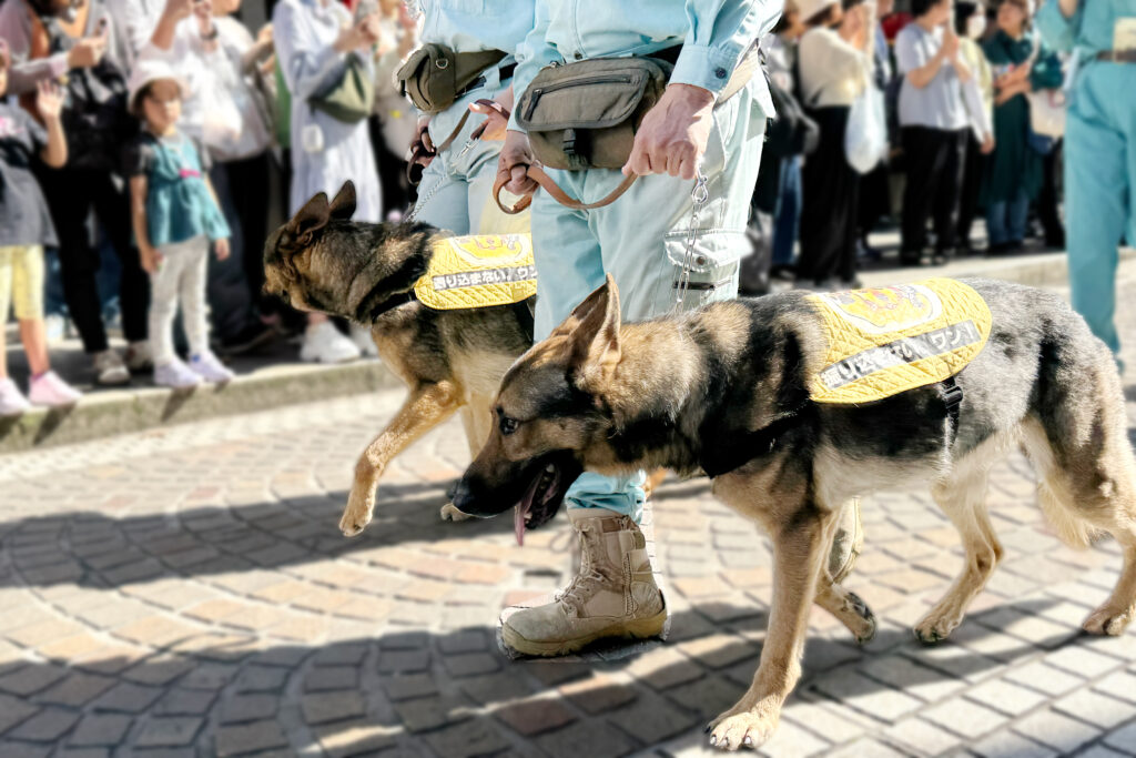 警察犬による特殊詐欺被害防止の啓発